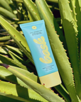 Bask SPF 40 Daily Invisible Gel Sunscreen