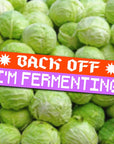 Back Off! I'm Fermenting Bumper Sticker