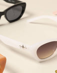 Women's Trendy Cat Eye Sunglasses