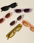Women's Trendy Cat Eye Sunglasses