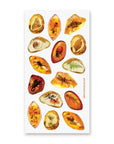 Amber Fossils Sticker Sheet