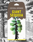 Crystal Growing Giant Sequoia |Β
Craft Kit Science Kit
