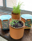 Tiny Terracotta Pet Grow Kits