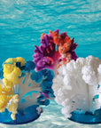 Crystal Growing Coral Reef |Β
Craft Kit Science Kit