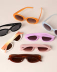 Women's Rounded Bold Frame Tinted Sunglasses