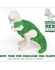 Chia-Saurus Rex