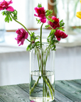 Stripes Clear Bud Vase