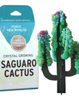 Crystal Growing Saguaro Cactus