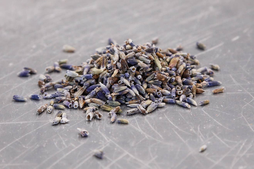 Lavender Flowers