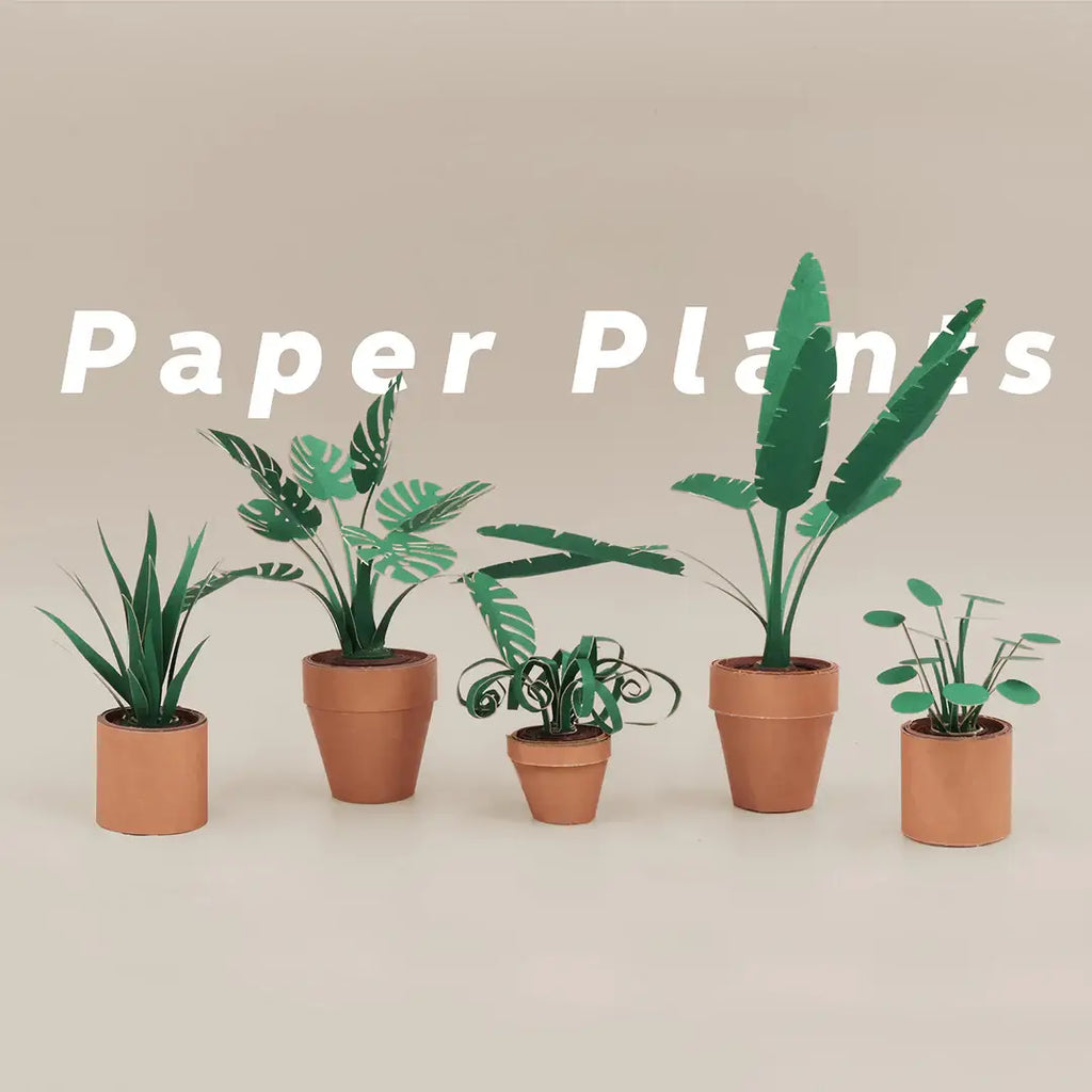 Paper Plants Craft Kit