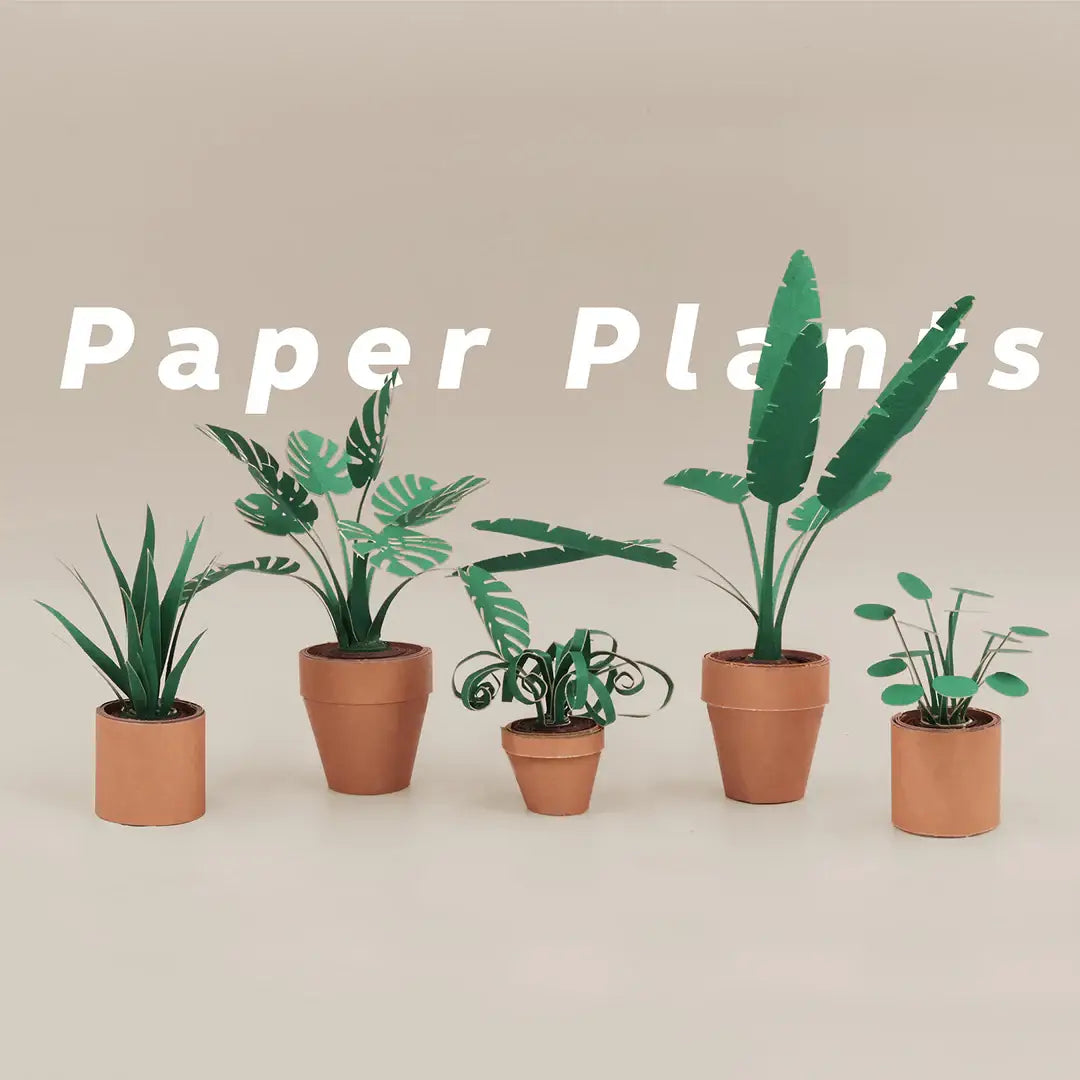 Paper Plants Craft Kit