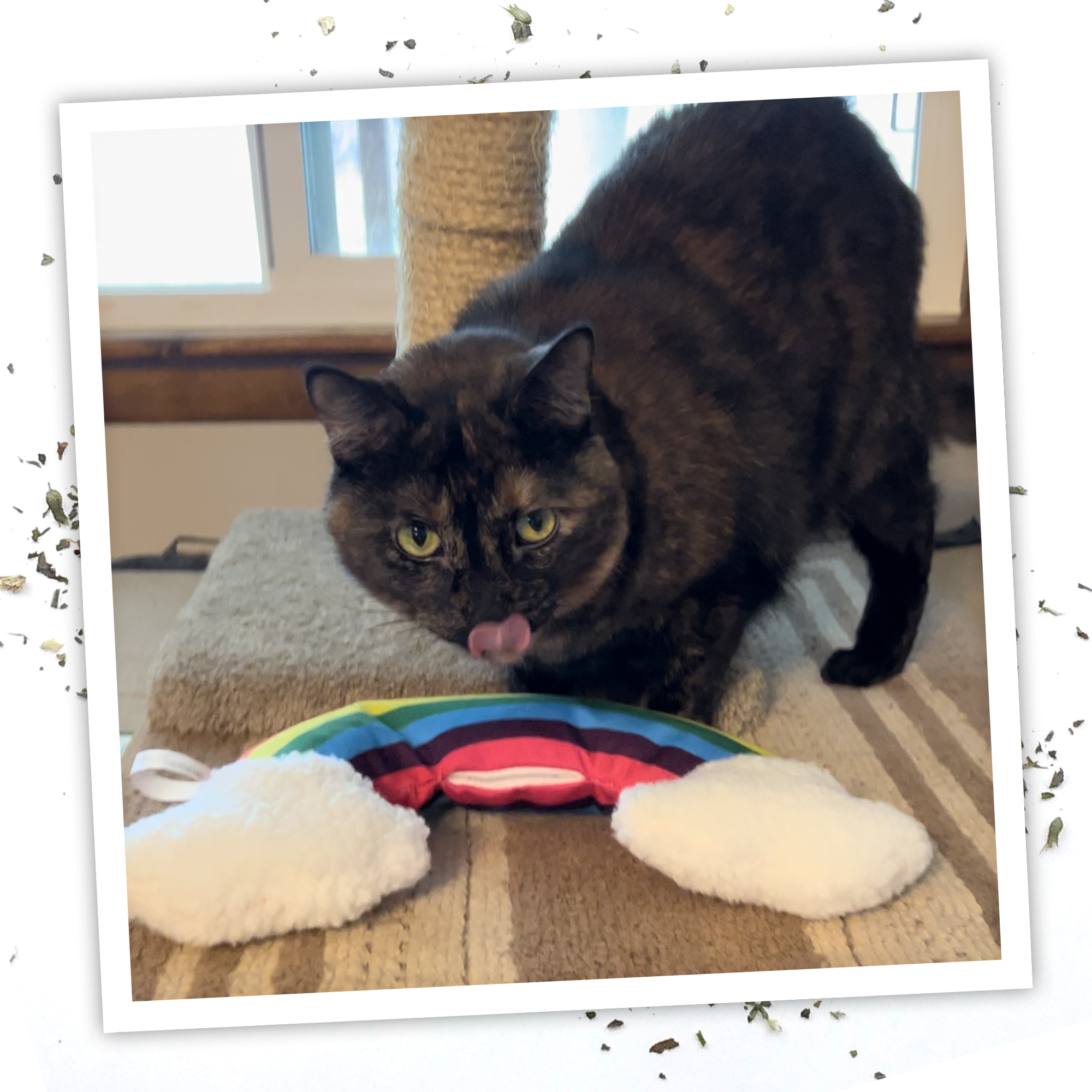 Get Kickin' Rainbow Kicker Refillable Cat Toy