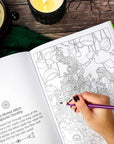 Wicked Witch of Oz Coloring Book