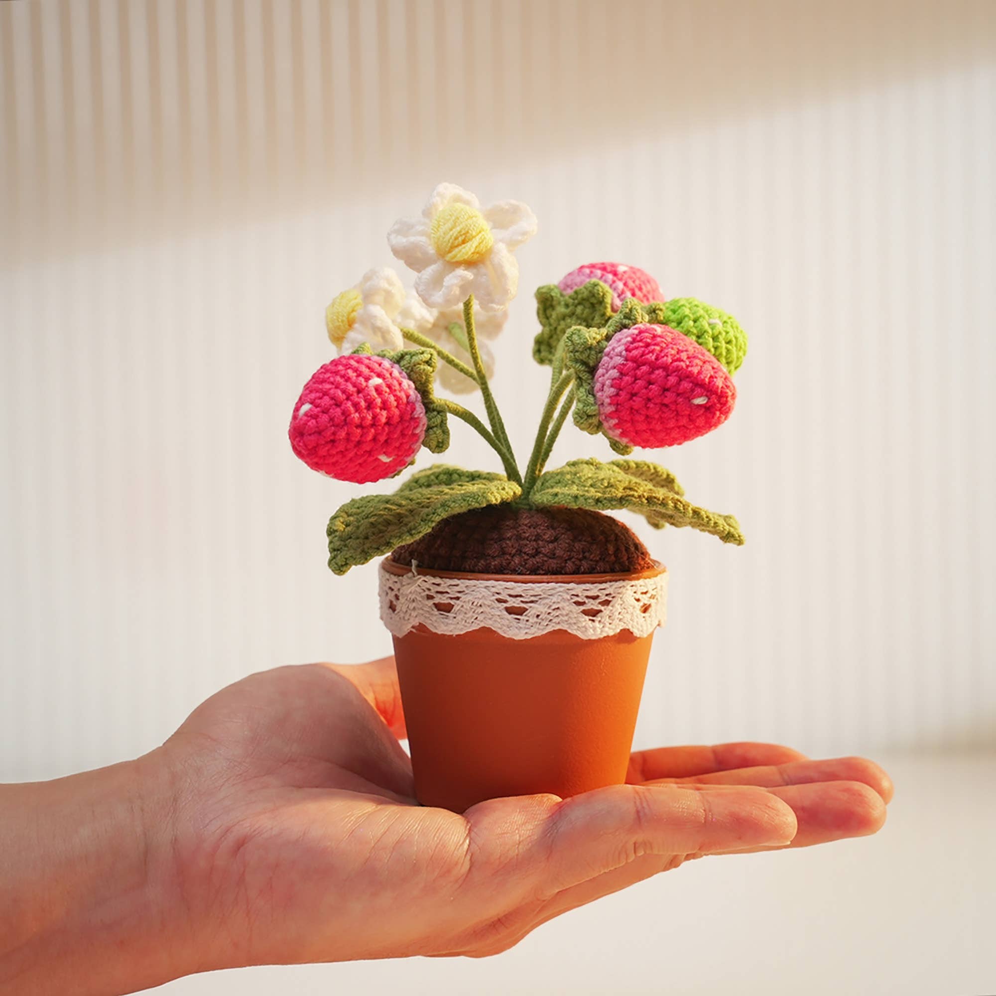 Crochet Small Strawberry Pot
