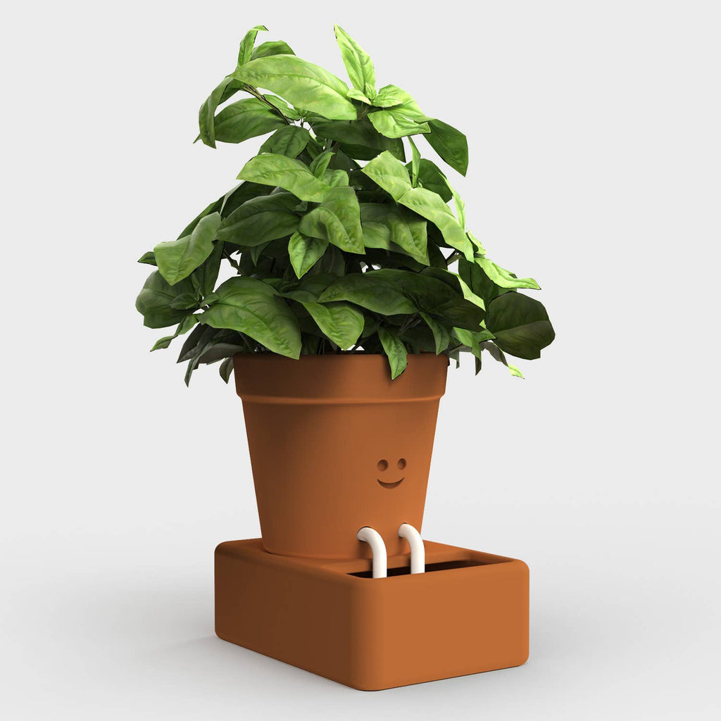 Self Care Planter | Self Watering Plant Pot