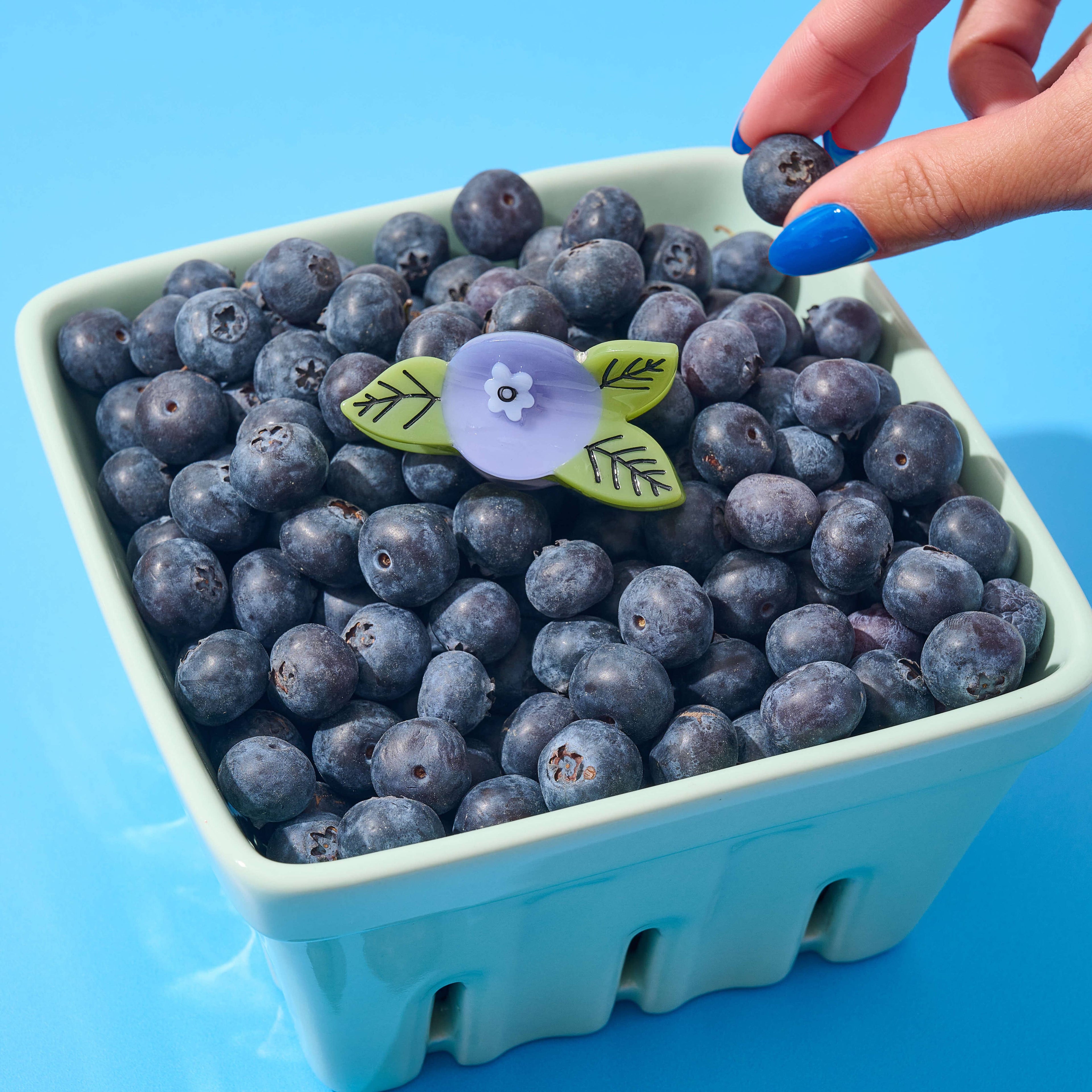 Mini Blueberry Hair Claw Clip