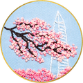 Intro to Embroidery: Spring in DC (4/10)
