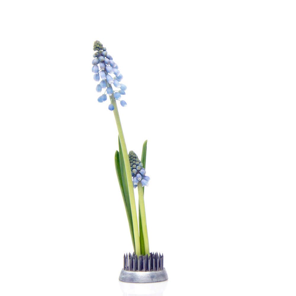 Flower Frog for Vases - Stainless Steel Flower Arranger
