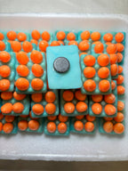 Eggs in a Carton Kitchen Magnet