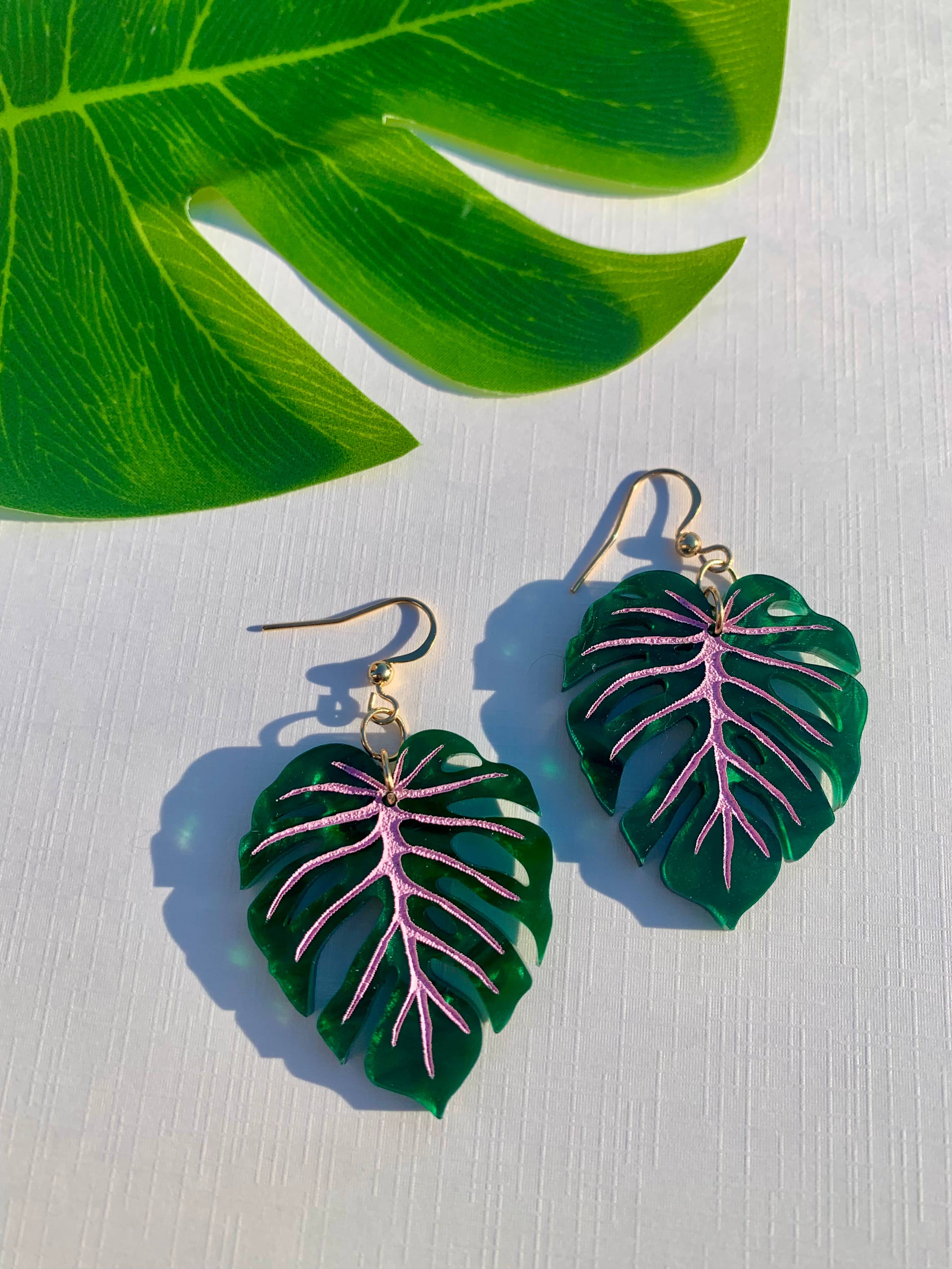 Mini Monstera