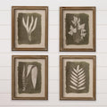 Green Leaf Framed Prints