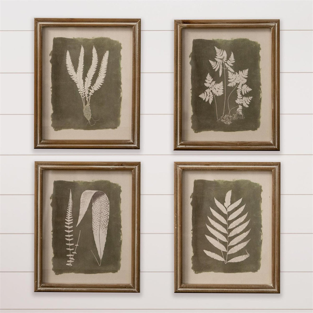 Green Leaf Framed Prints