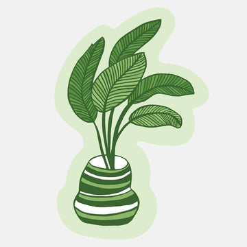 Plant Sticker