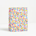 Small - Rainbow Paint Stroke Gift Bag