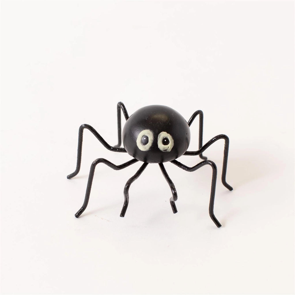 Night Glow-Eyed Spider