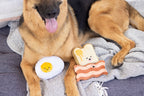 Barkfast Dog Toys, Set of 3