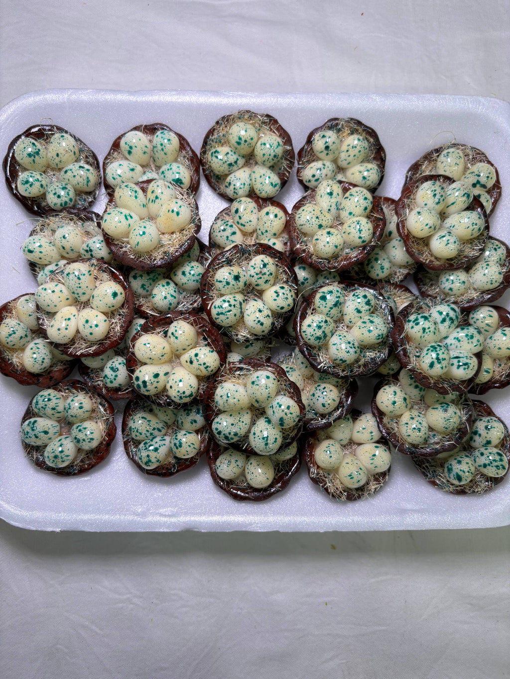 Quail Eggs Kitchen Magnet