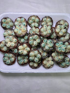 Quail Eggs Kitchen Magnet