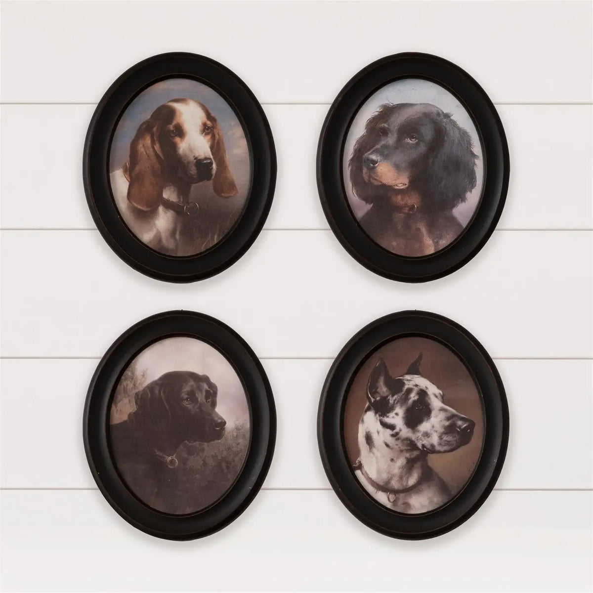 Hunting Dogs Framed Prints
