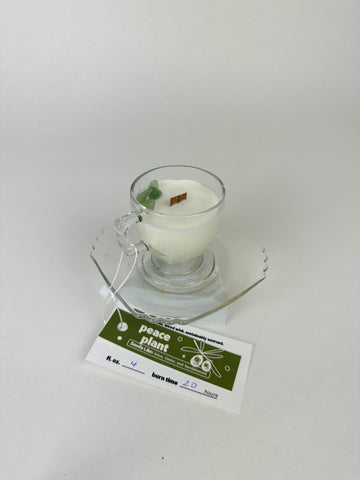 Peace Plant - Organic Soy Wax Candle, Small Clear Teacup and Saucer