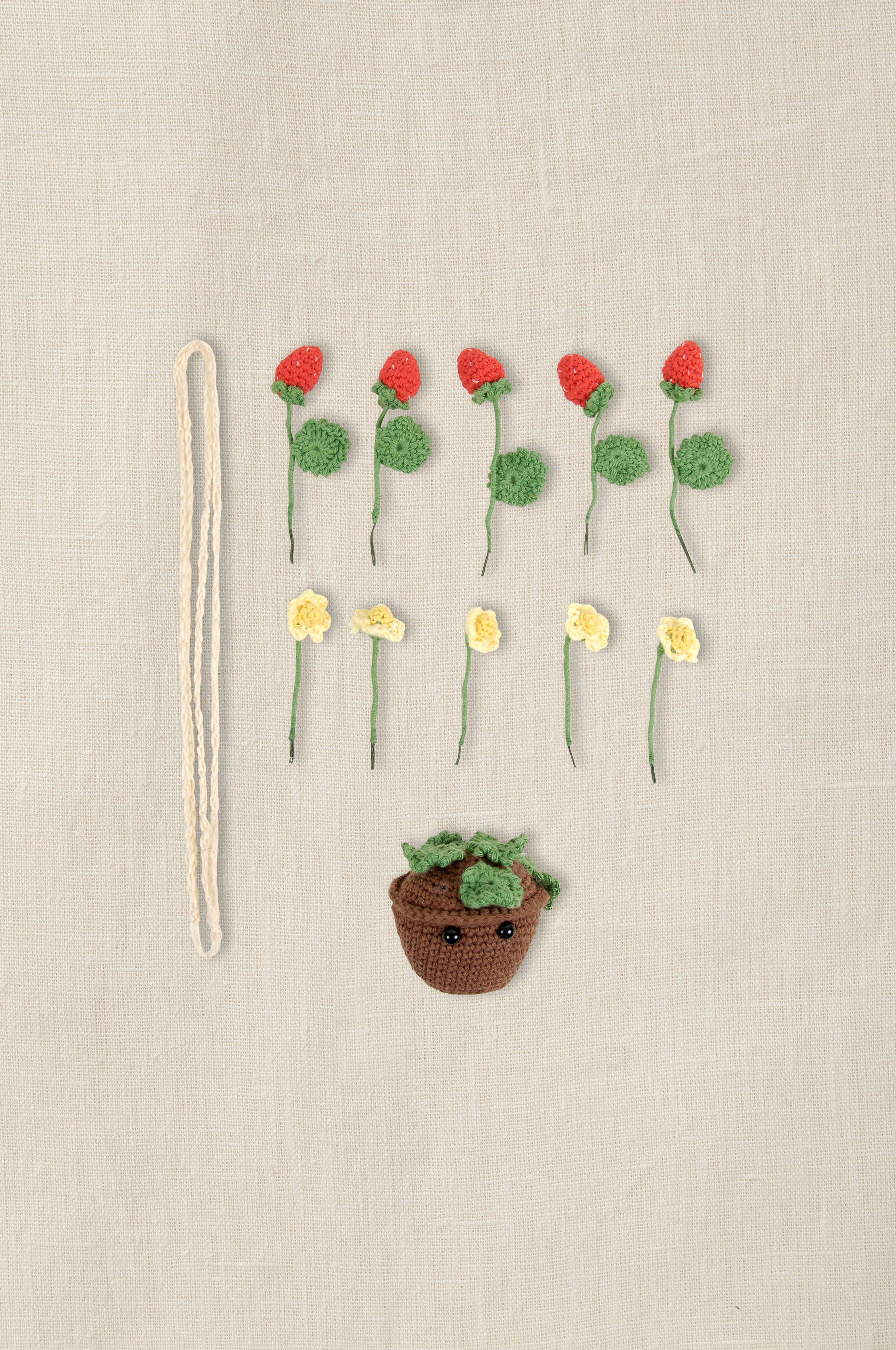 DMC Summer Strawberries Amigurumi Kit