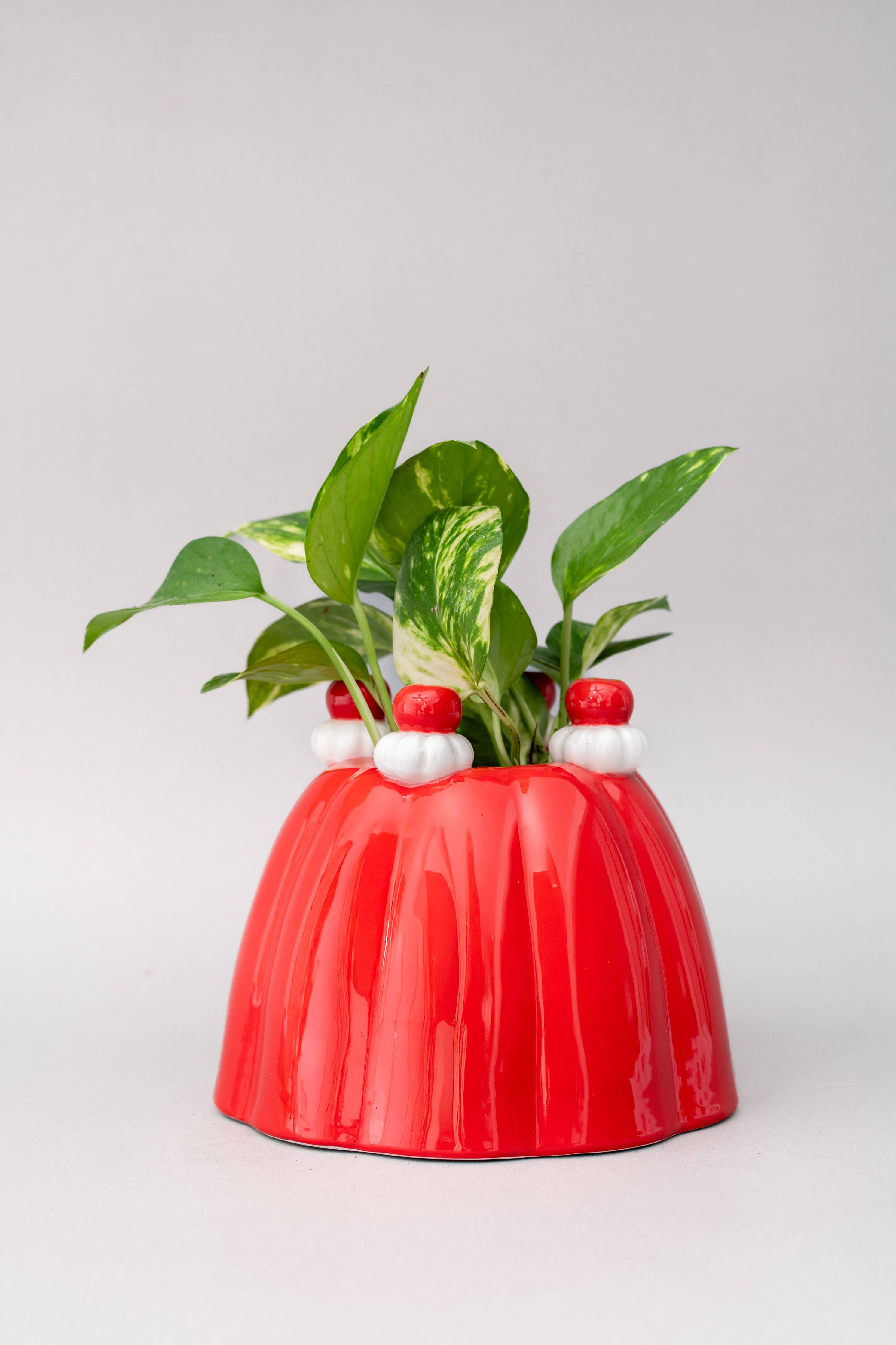 Vase, Jello