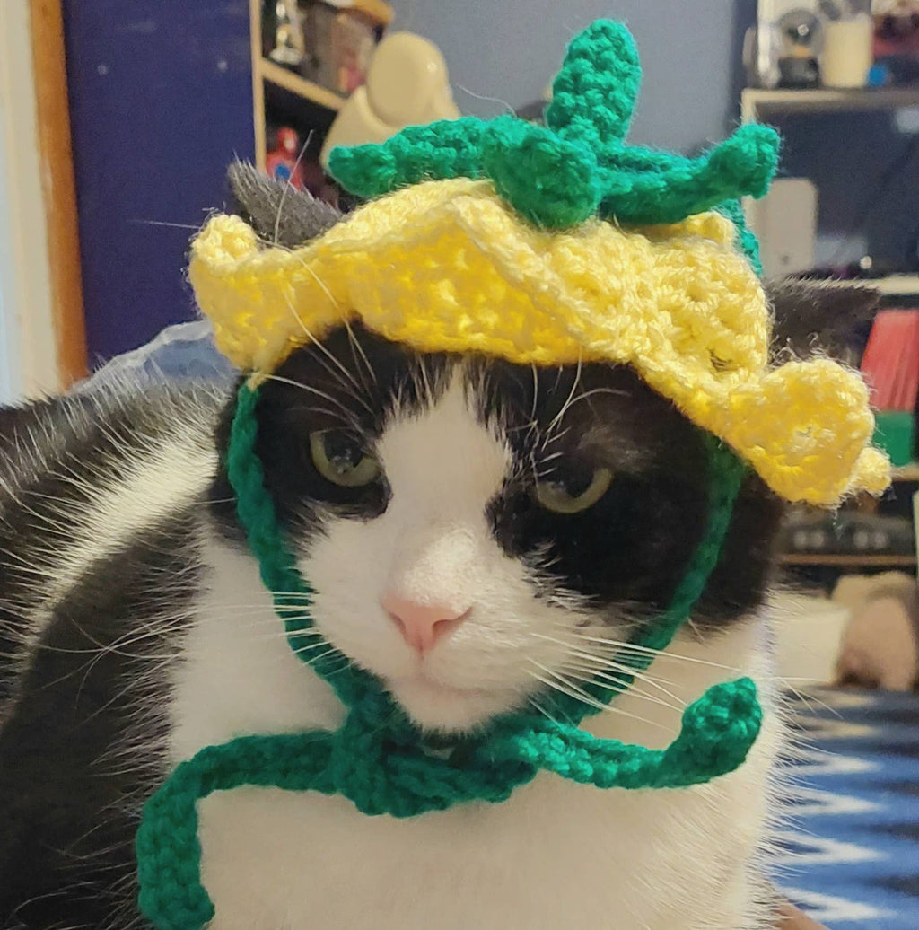Crochet Tulip Hat - Cat Bonnet - Pet Hat