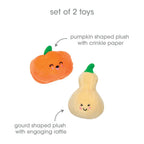 Gourds Fall Cat Toys, Set of 2