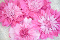 Paper Blooms