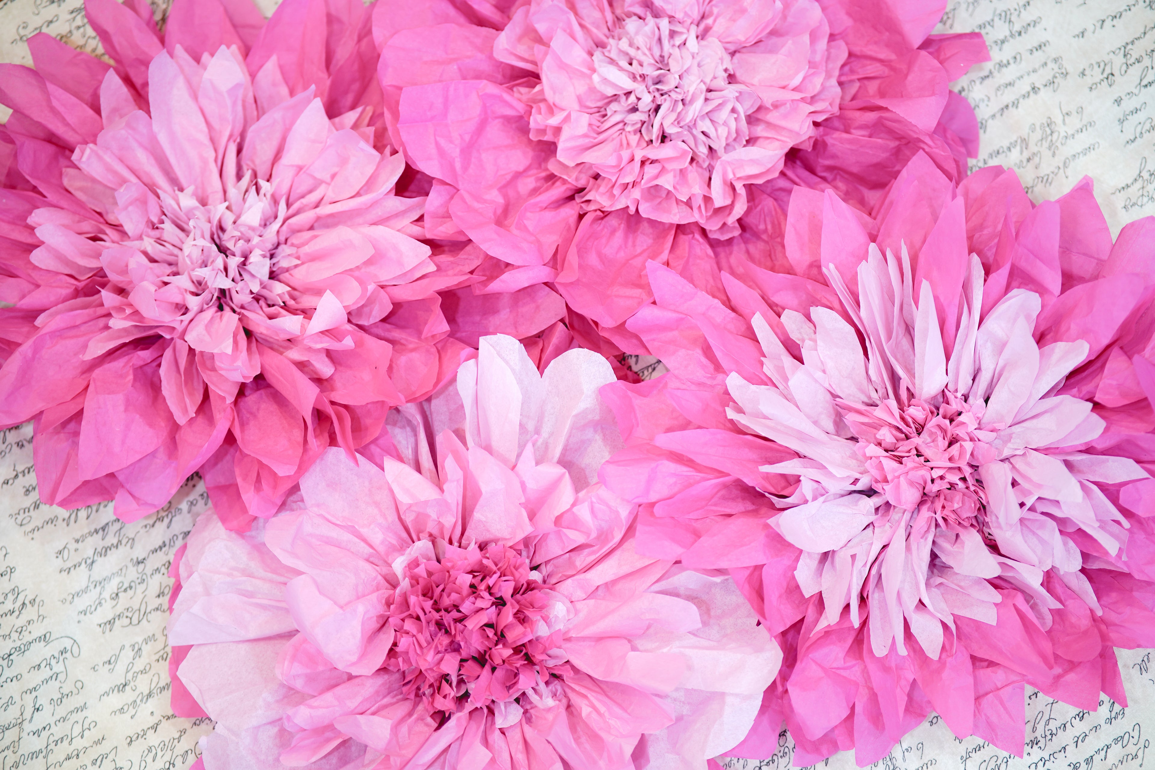 Paper Blooms