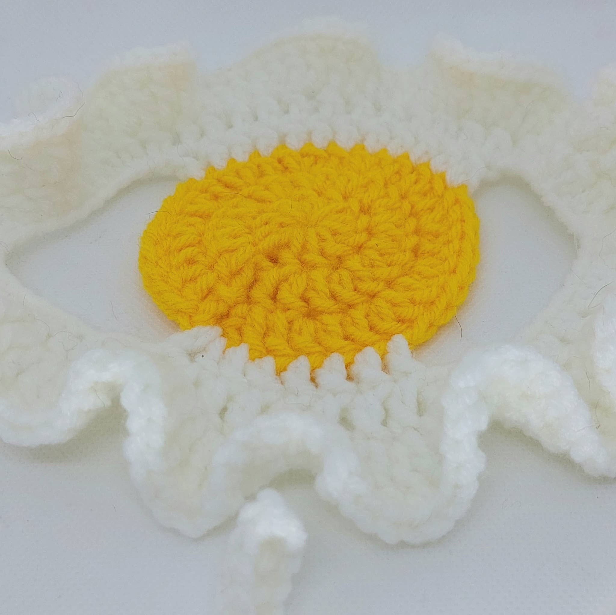 Crochet Fried Egg Hat - Cat Hat - Pet Hat - Made to order