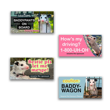 Baddy Bumper Stickers