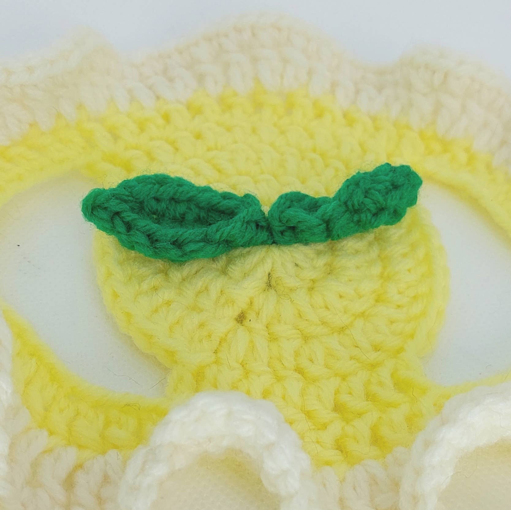 Crochet Lemon Hat - Cat Bonnet - Pet Hat