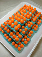 Eggs in a Carton Kitchen Magnet