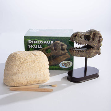 Dig Kit: Dinosaur Skull