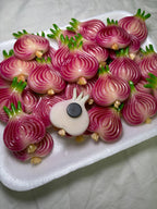 Sliced Onion Kitchen Magnet