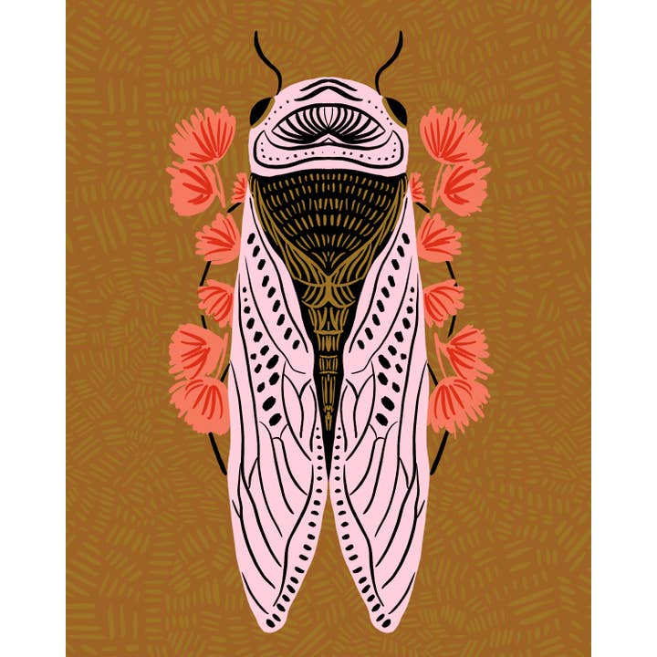 Cicada 8x10