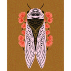 Cicada 8x10