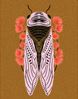 Cicada 8x10