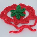 Crochet Strawberry Hat - Cat Bonnet - Pet Hat